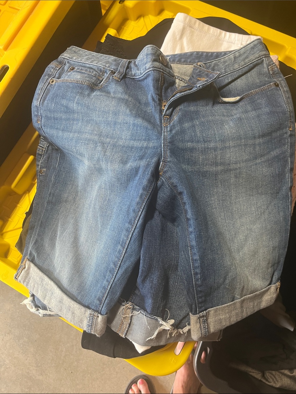 LOFT Blue Jean Shorts with Rolled Cuffs and Classic Wash
